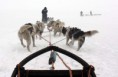 /album/sh3/mushing-2-jpg1/
